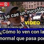 VIDEO - Notero de C5N preguntó a organizador de la marcha lgbt: "¿Cómo lo ven con la gente normal que pasa...