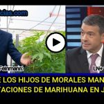 VIDEO - El pase de Feinmann con Rossi: "Las plantaciones de marihuana las maneja el hijo de Morales en Jujuy..."￼